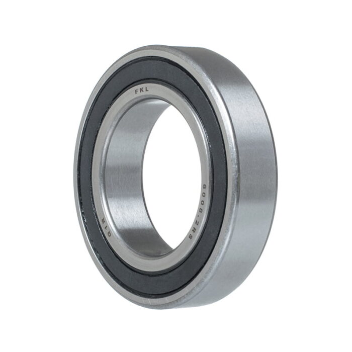 6008-2rs.jpg