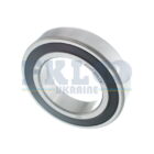 6009-2rs-c3.jpg