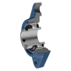 korpus-n.webp